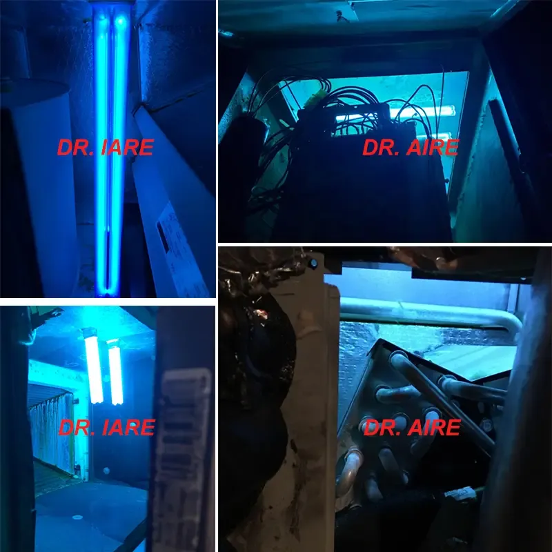 Duct mounted Germicidal UV-C Lamp