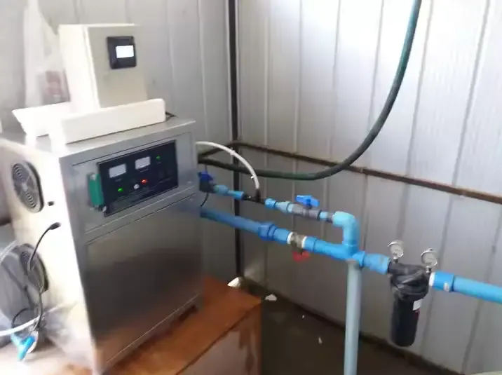 Electrical 10g/H Ozonator Home Drinking Water Purifier for Automotive Water Treatment System