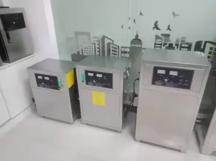 Electrical 10g/H Ozonator Home Drinking Water Purifier for Automotive Water Treatment System