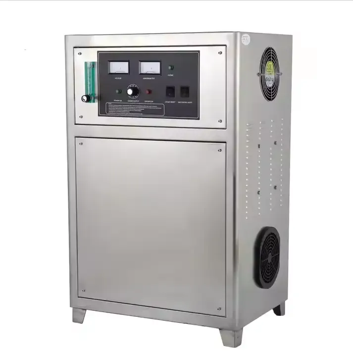 Electrical 10g/H Ozonator Home Drinking Water Purifier for Automotive Water Treatment System