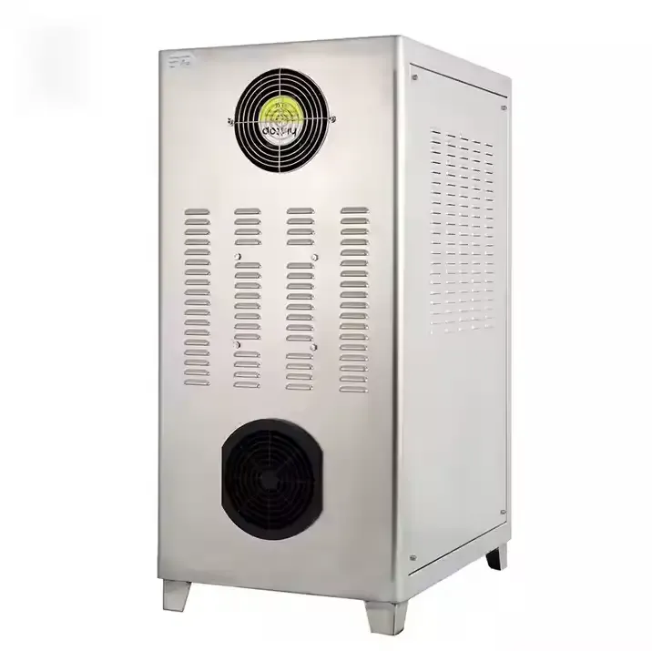 Electrical 10g/H Ozonator Home Drinking Water Purifier for Automotive Water Treatment System