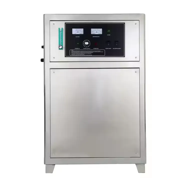 Electrical 10g/H Ozonator Home Drinking Water Purifier for Automotive Water Treatment System