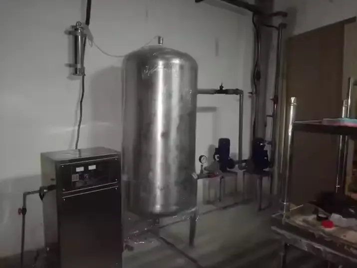 220V Electric 50g/h Ozone Generator with Stainless Steel Ozonator for Bottled and Drinking Water Purification