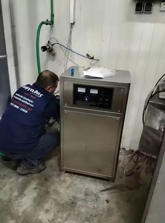 220V Electric 50g/h Ozone Generator with Stainless Steel Ozonator for Bottled and Drinking Water Purification
