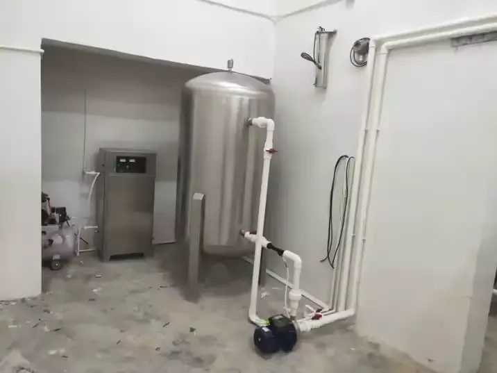220V Electric 50g/h Ozone Generator with Stainless Steel Ozonator for Bottled and Drinking Water Purification